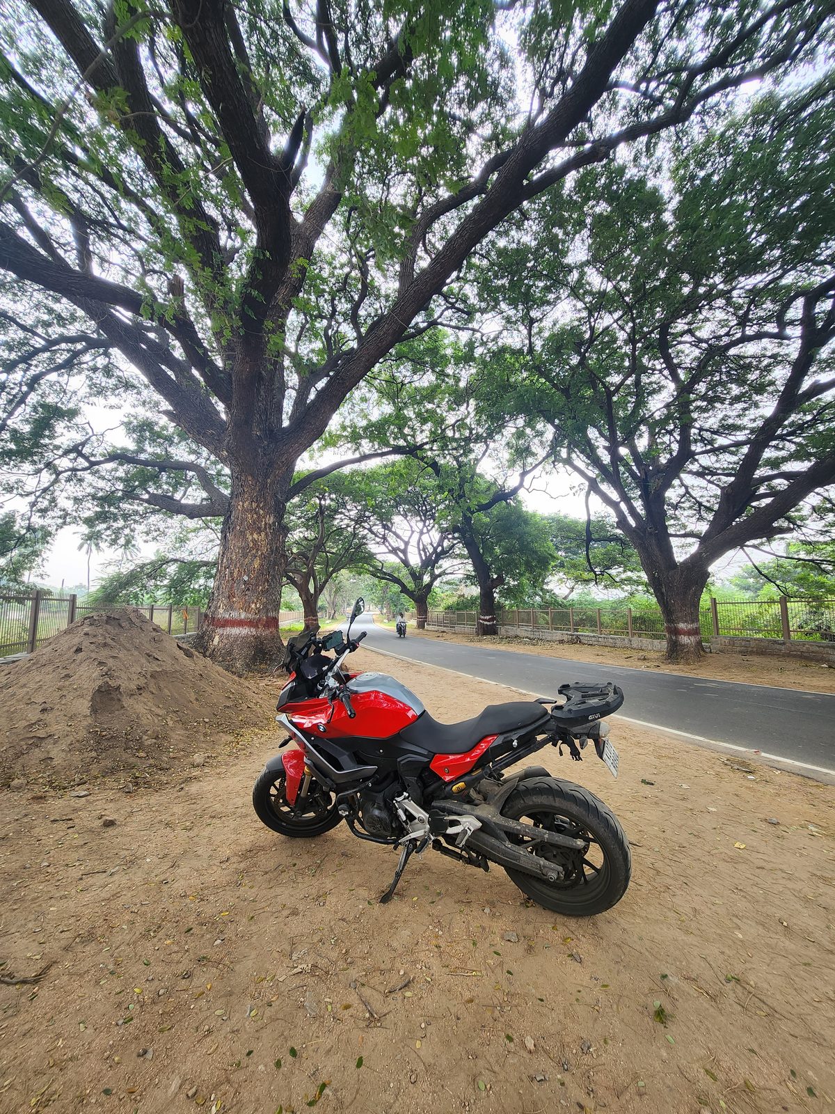 A tree-lined road near Hampi