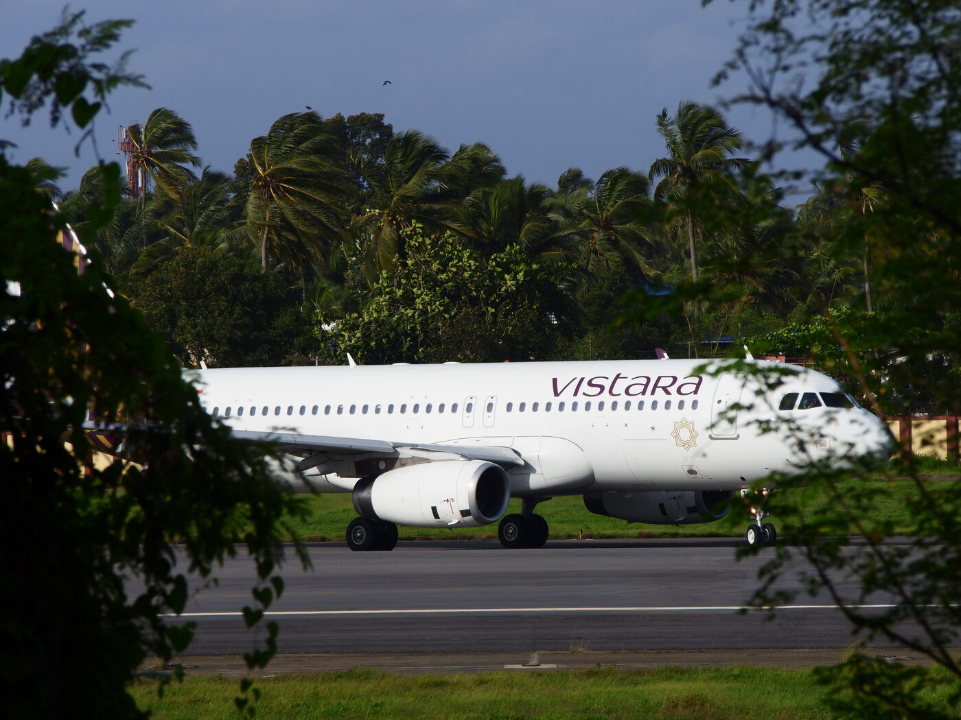 An airliner taxiing at Trivandrum airport, seen through the trees from a house terrace